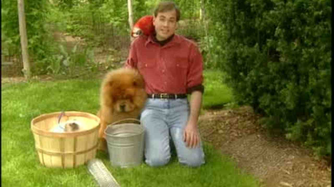 Forum on this topic: How to Prevent a Dog and Cat , how-to-prevent-a-dog-and-cat/ Forum on this topic: How to Prevent a Dog and Cat , how-to-prevent-a-dog-and-cat/